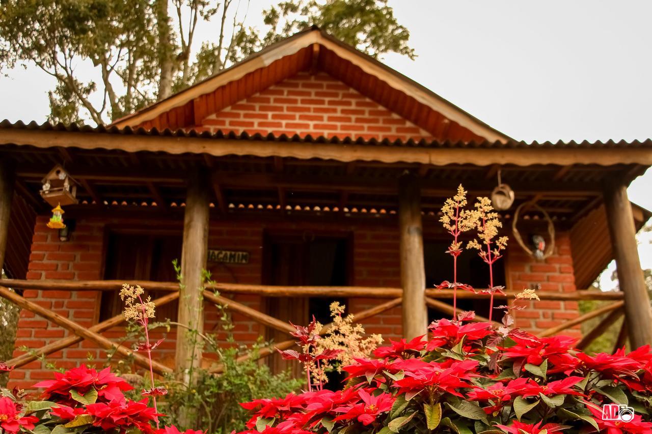 Chales Kayoa Córrego do Bom Jesus 외부 사진